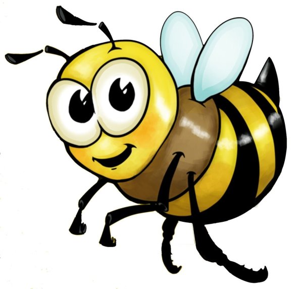 Пчела на белом фоне