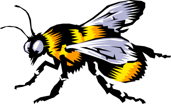 Картинка Шмель на прозрачном фоне