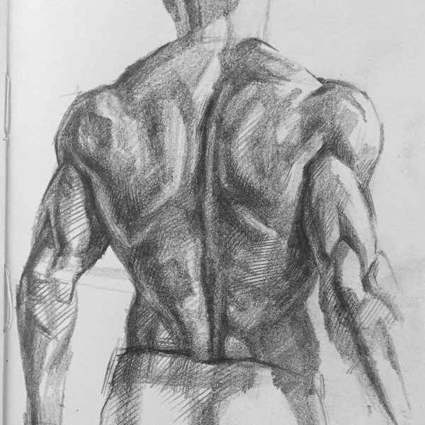 Леви Аккерман со спины