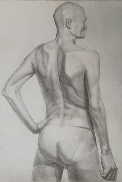 Мужская спина сзади референс