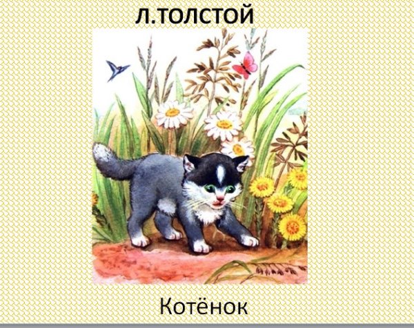 Л Н толстой котенок