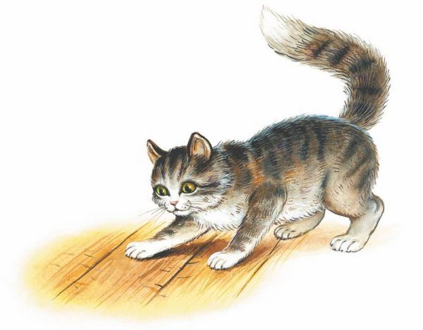 Лев Николаевич толстой котенок