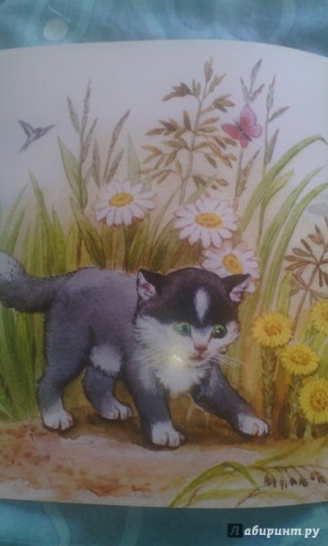 Толстой л. "котенок"