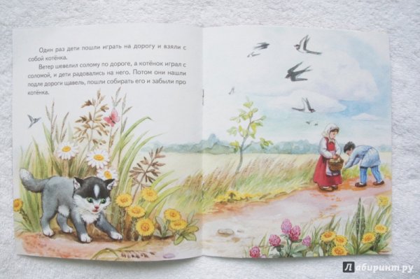 Лев Николаевич толстой коте