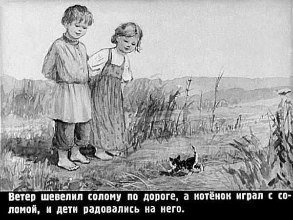 Толстой котенок раскраска