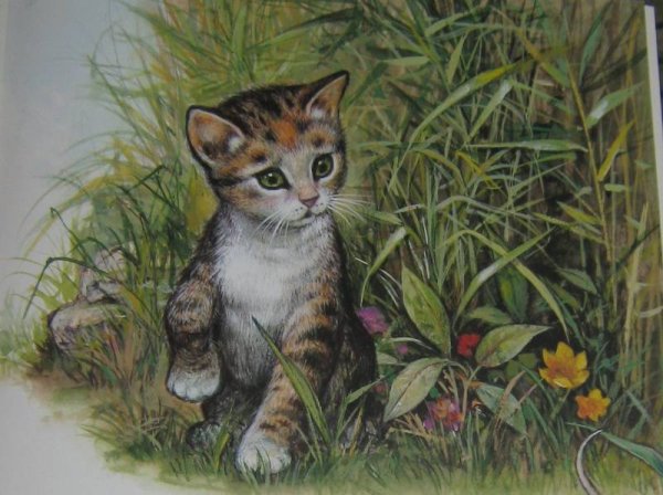 Иллюстрации к произведениям Толстого Льва Николаевича для детей