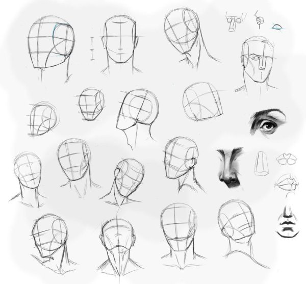 Рисование головы