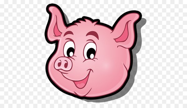 Мордочка поросенка