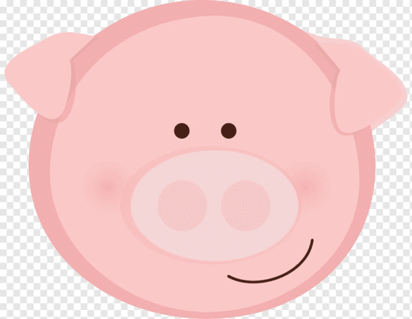 Морда свиньи