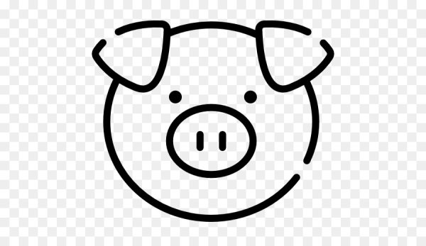 Морда свиньи