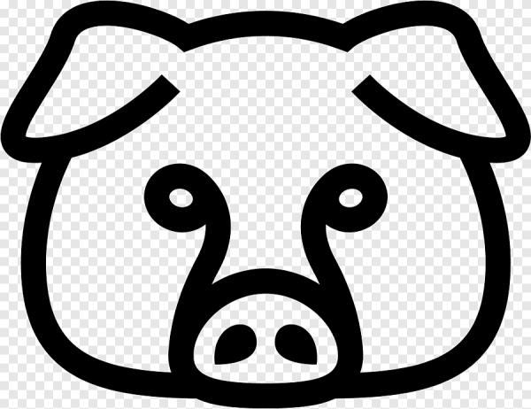 Морда поросенка