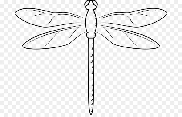 Стрекоза контур