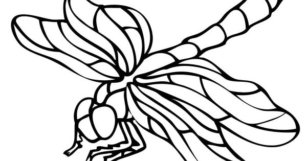 Стрекоза трафарет для вырезания