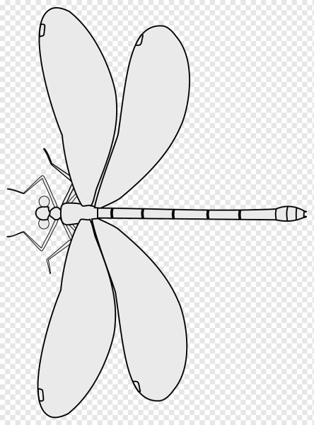 Стрекоза раскраска для детей