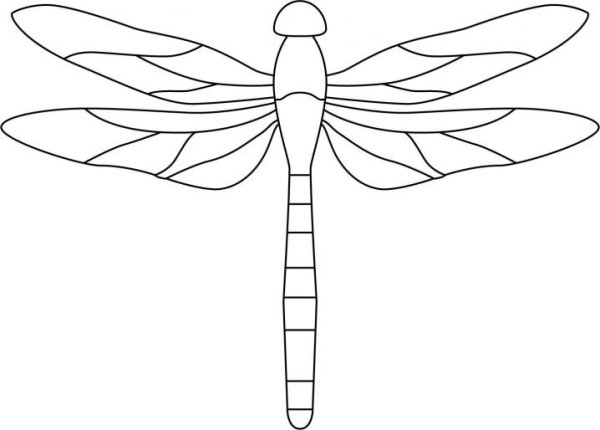 Стрекоза черно-белый рисунок