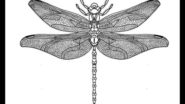 Трафарет Стрекоза для броши