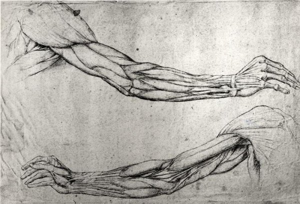 Леонардо да Винчи study of hands