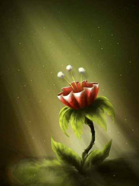 Волшебное солнце