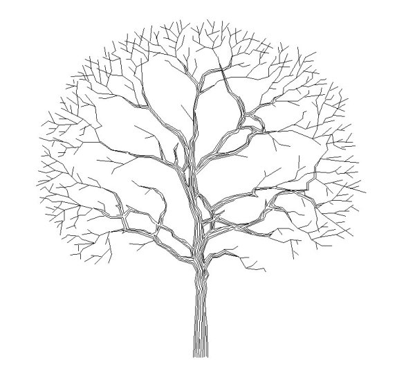 Дерево схематично