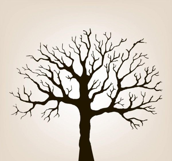 Силуэт дерева без листьев