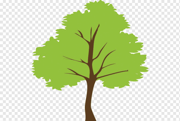 Силуэт дерева цветной