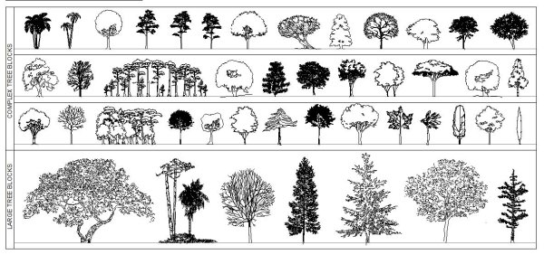 Антураж деревья архикад