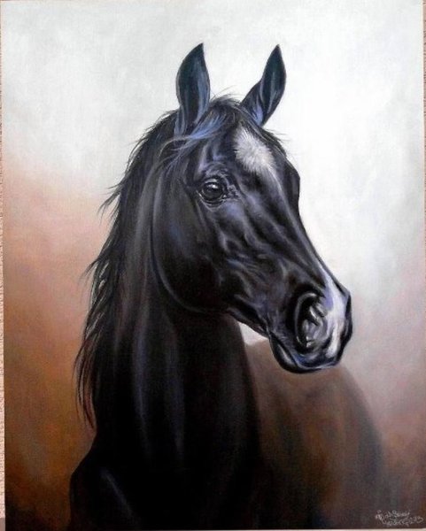 Морда лошади арт