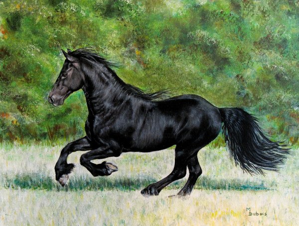 Вороная лошадь галоп