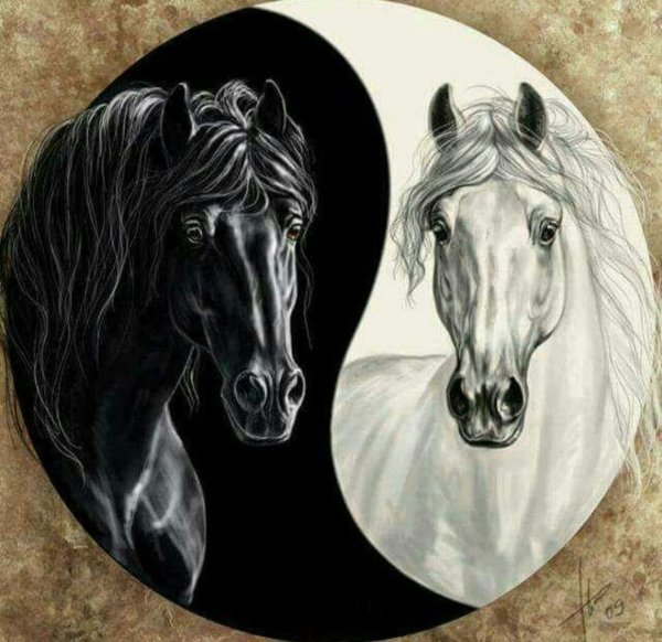 Инь Янь лошади