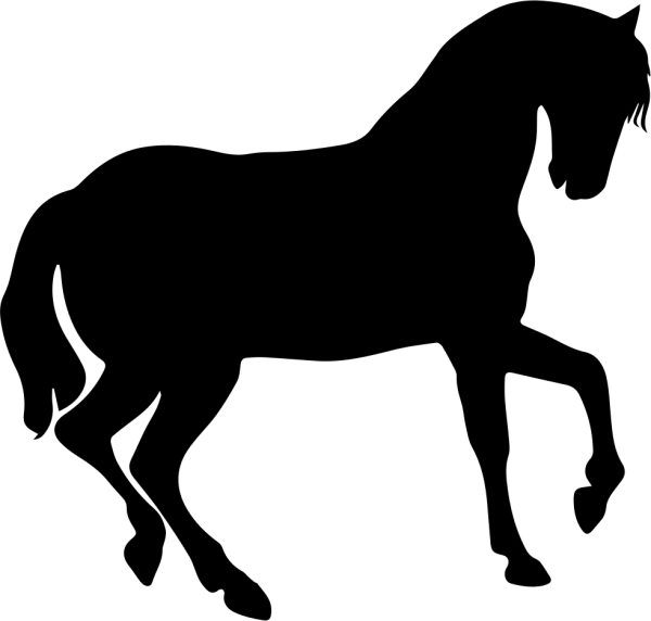 Векторный конь