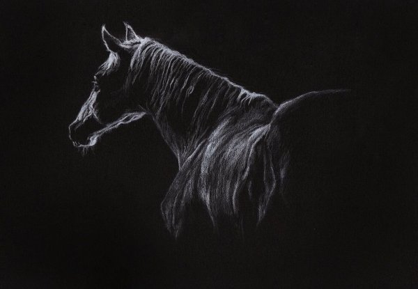 Граттаж лошадь