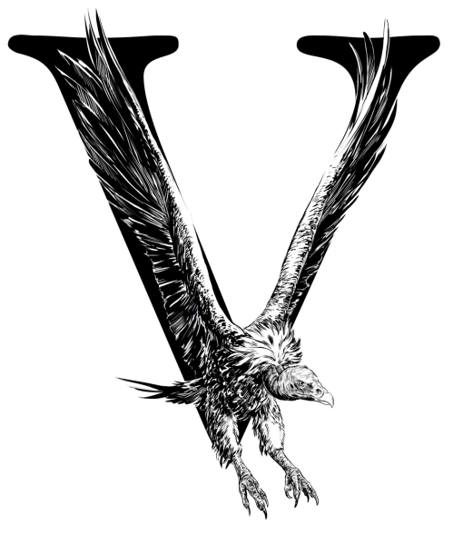 Стилизованная буква y