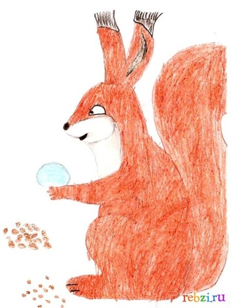 Белочка для детей рисование