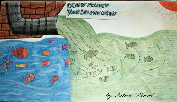 Плакат на тему загрязнение воды