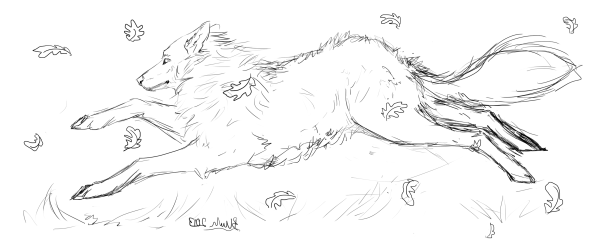 Бегущий волк рисунок карандашом