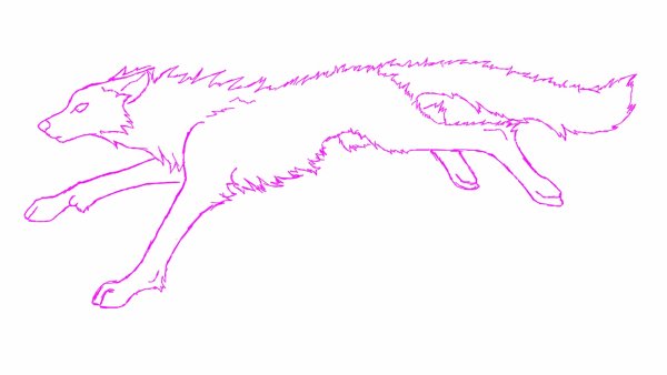 Красный волк рисунок для срисовки