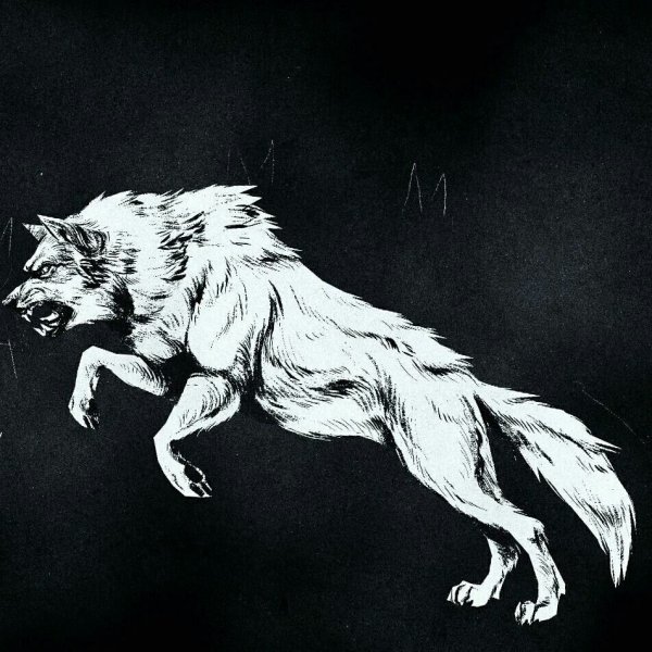Бегущий волк эскиз