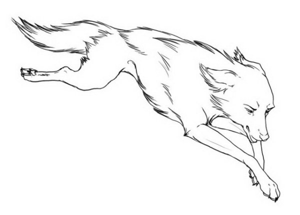 Силуэт прыгающего волка