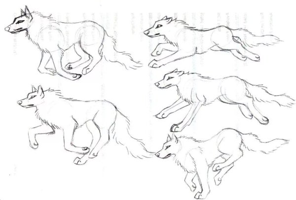 Бегущий волк тату