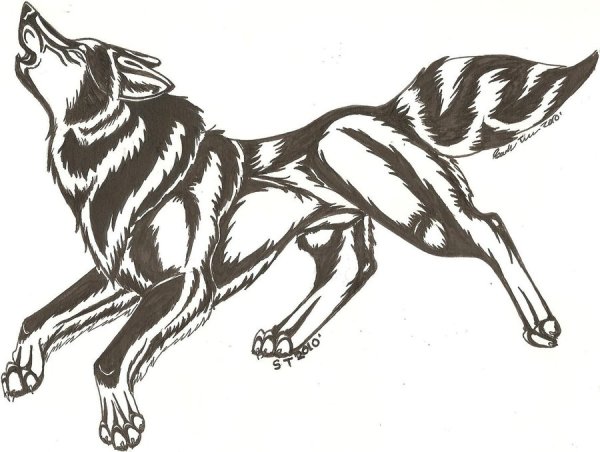 Раскраска волк бежит
