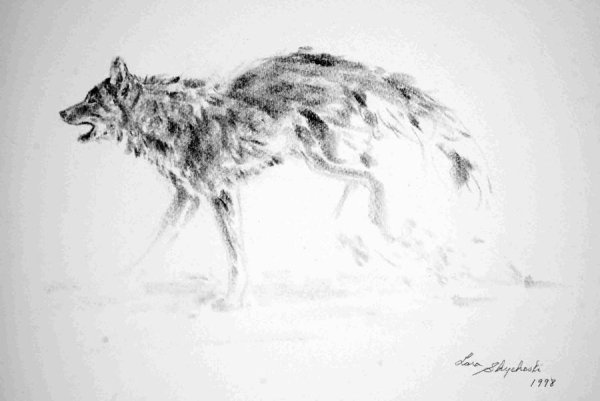 Волк фэнтези