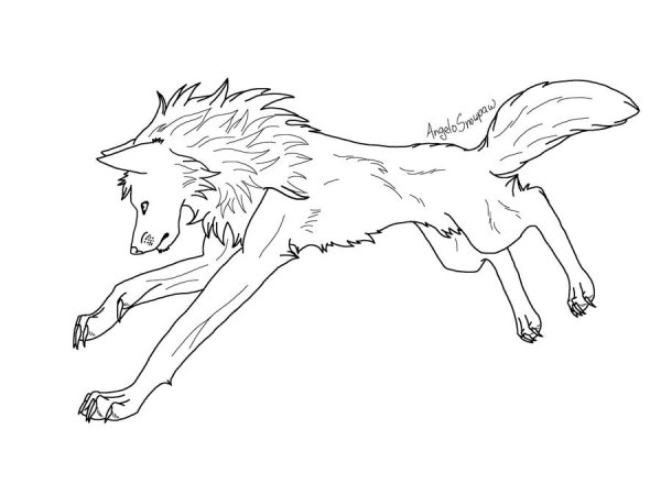 Ходьба собаки покадрово