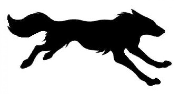 Бегущий волк рисунок карандашом