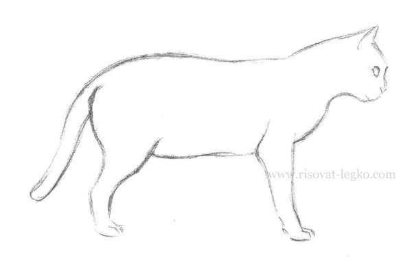 Кот сбоку для рисования