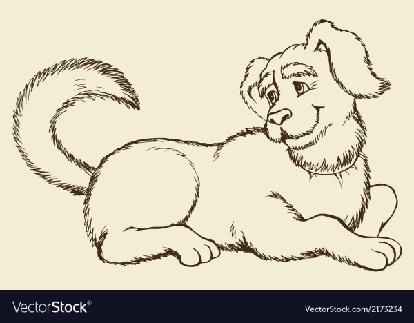 Собака с большим хвостом рисунок