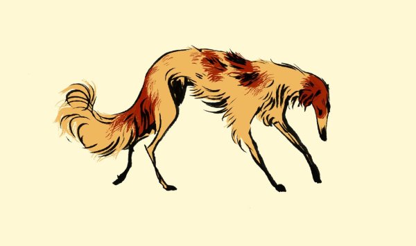 Псовая борзая референс