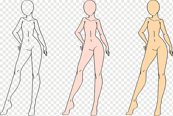 Манекены тела для рисования