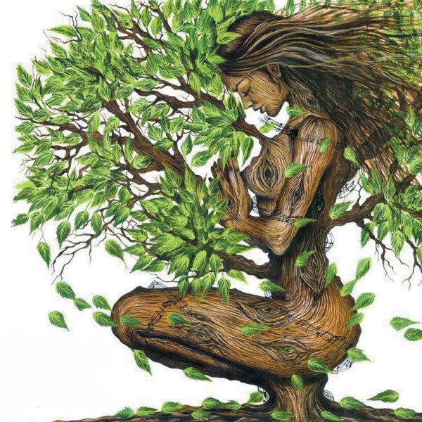 Доброе и Злое дерево