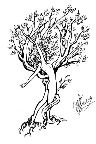 Дриады Гамадриады