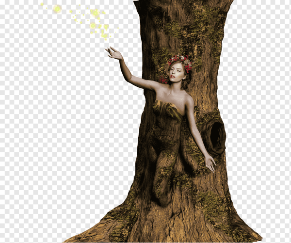 Гильермо Мартинес